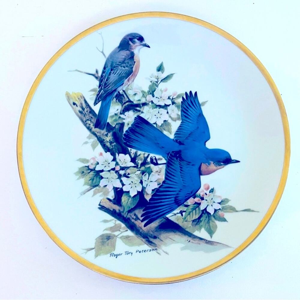 80s Vtg Georges Boyer Limoges 9 3/4 Plate BLUEBIRDS Songbird Roger Tory Peterson